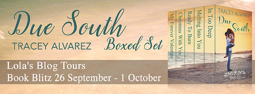 Due South Boxed Set banner
