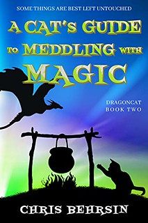 A Cat’s Guide to Meddling with Magic (Dragoncat #2)