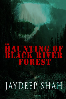 The Haunting of Black River Forest book cover