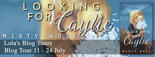 Looking for Caylie tour banner