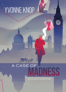 A Case of Madness book cover